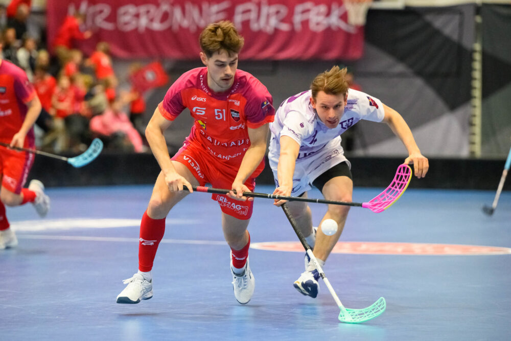 IMG 0124