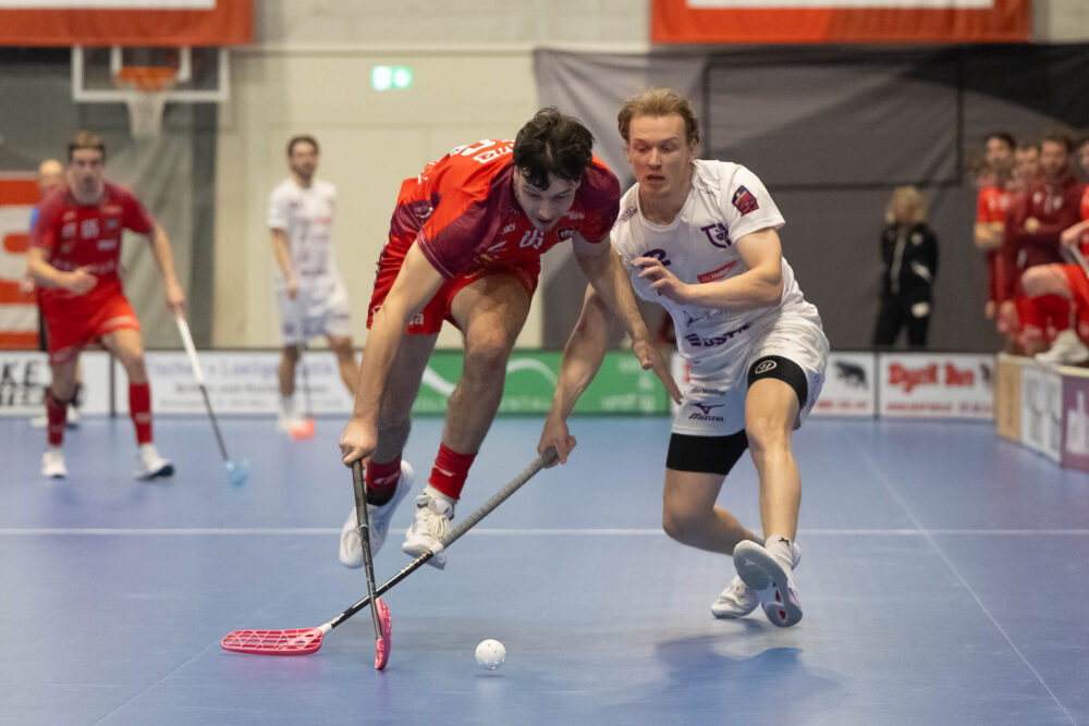 20260314 Thurgau_Bild 4