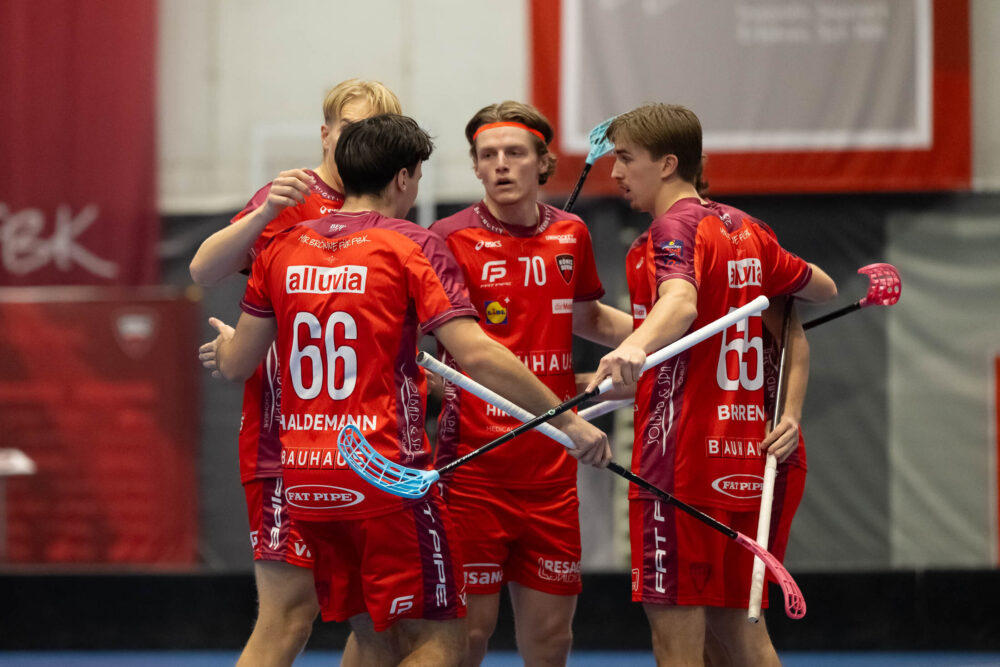 4 Haldemann und Linie