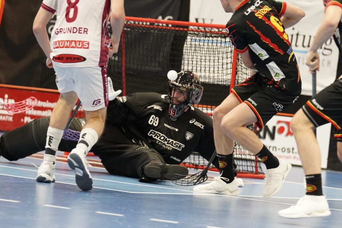 20260214 Koeniz Tigers Highlight Bild