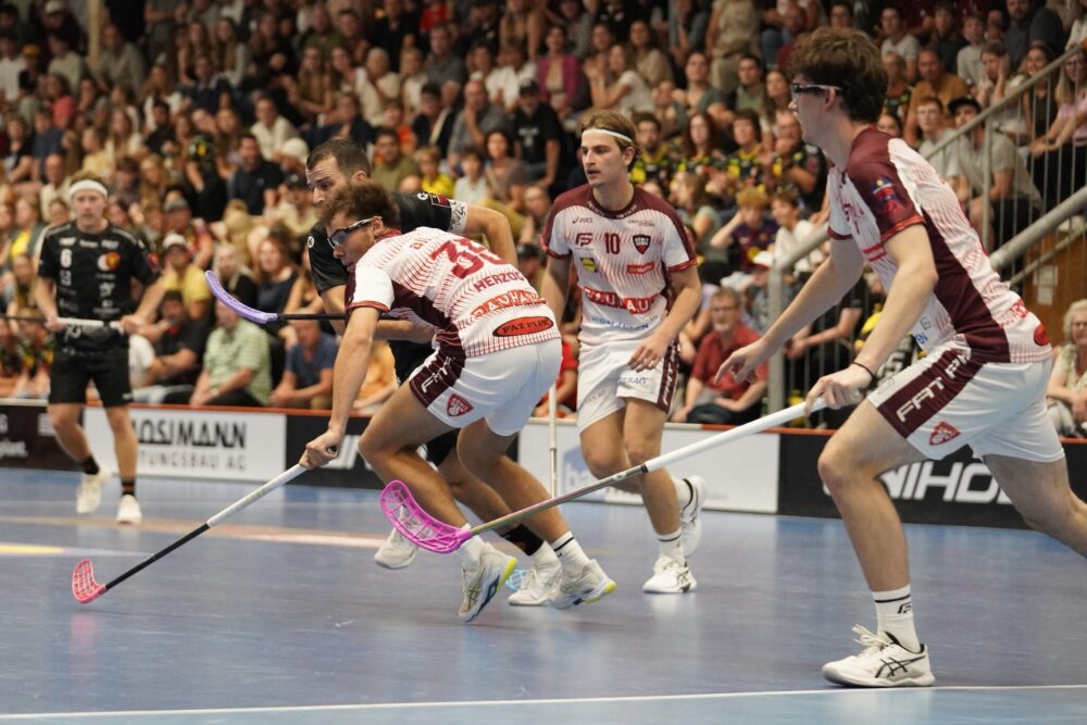 Spielbericht Tigers Bild 4