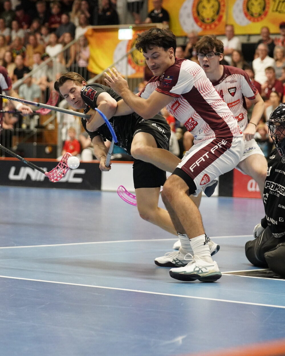 Spielbericht Tigers Bild 1