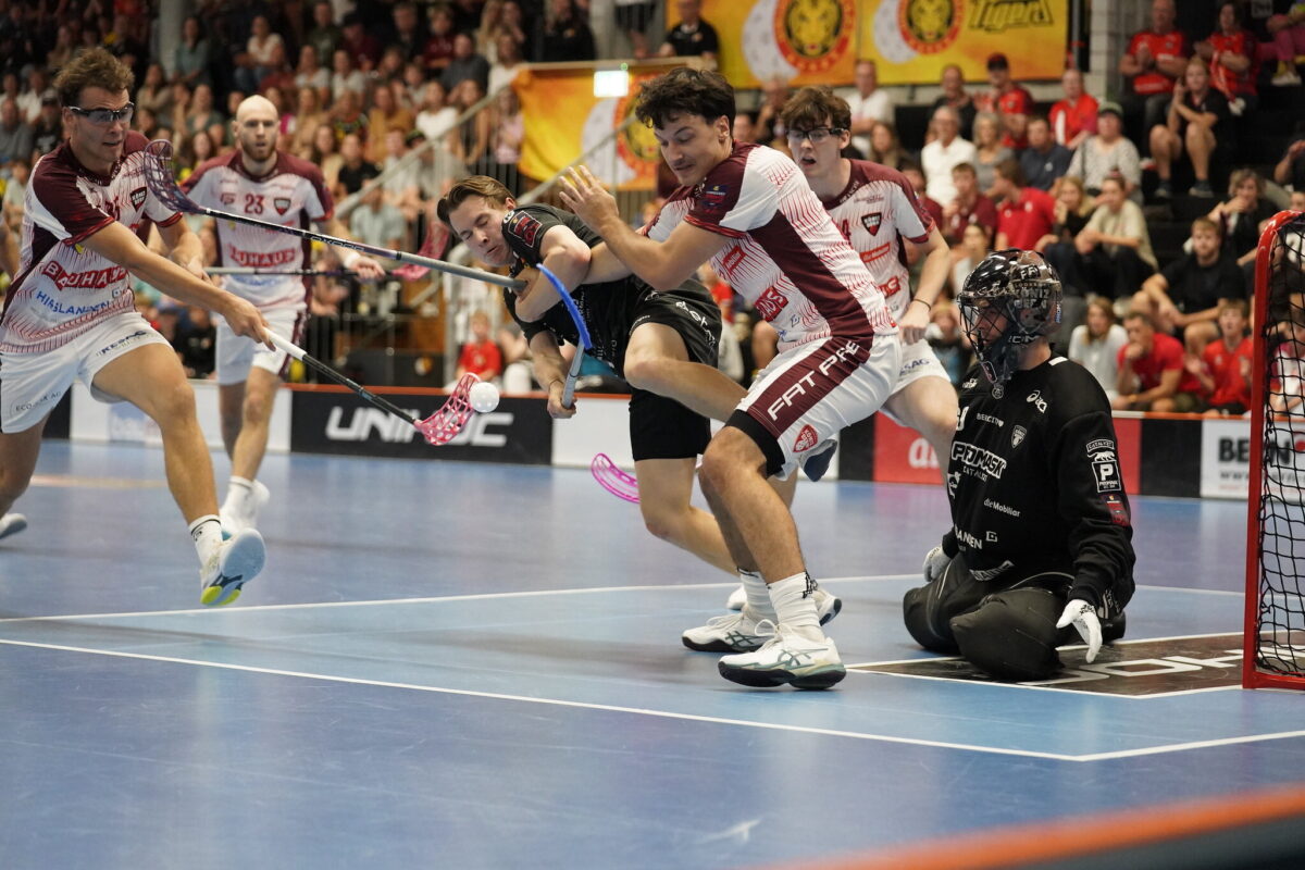 Spielbericht Tigers Bild 1
