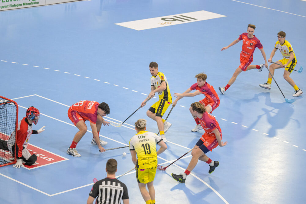 20250308 PO HCR FBK 6