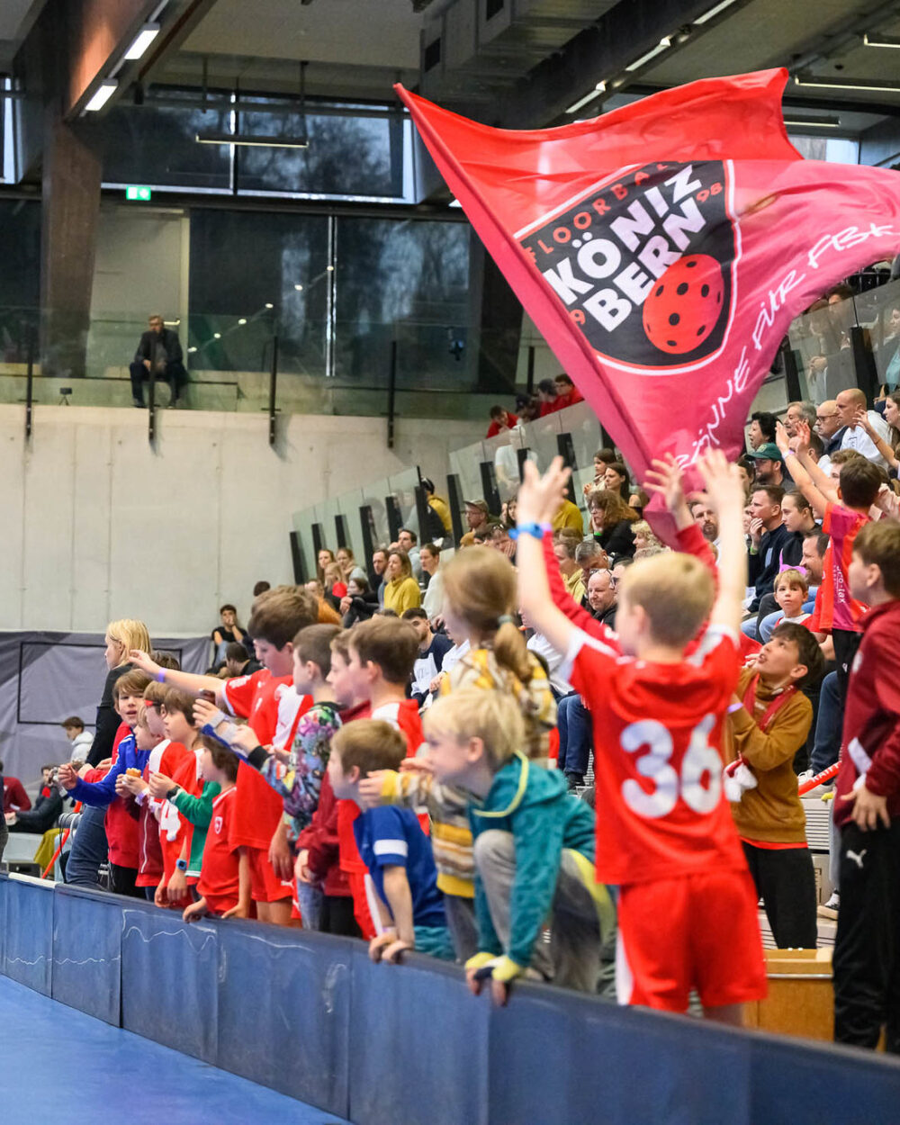 Symbolbild Fans in Halle