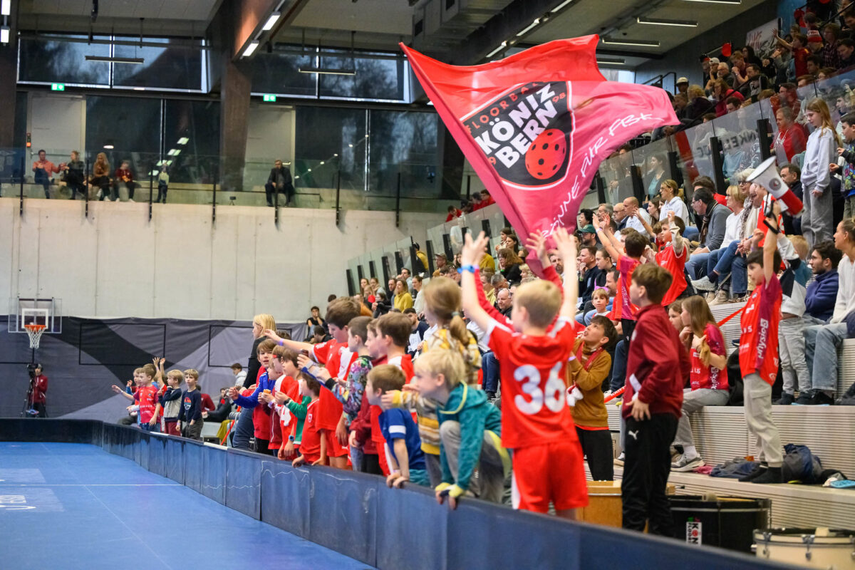 Symbolbild Fans in Halle